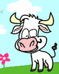 pic for Silly cow